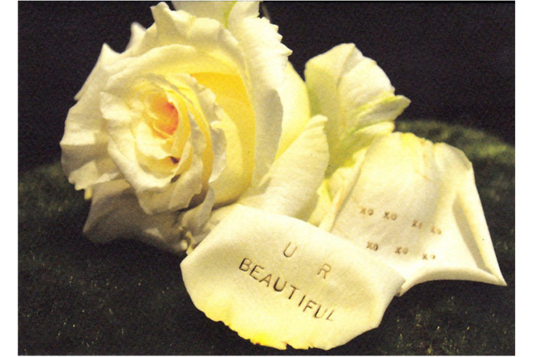 c415-u-r-beautiful-rose