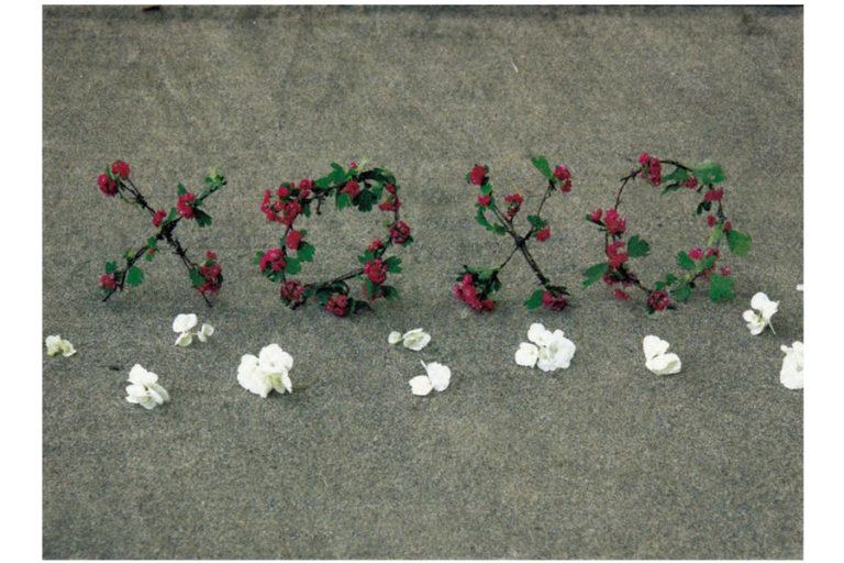 c431-xoxo-flowers-on-beach-card